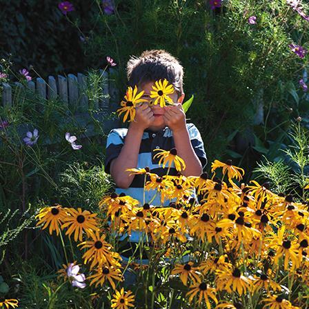 Blank Card - Boy Picking Helenium Flowers