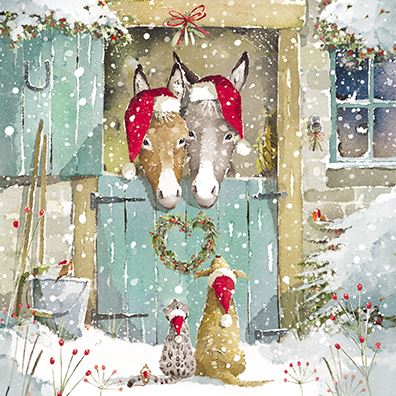 Christmas Cards - 12 Luxury Cards - Donkeys In Stable