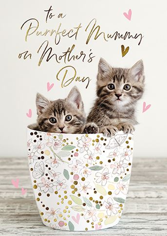 Mother's Day Card - Mummy - Kittens in Pot