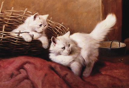 Blank Card - Persian Kittens & Bee