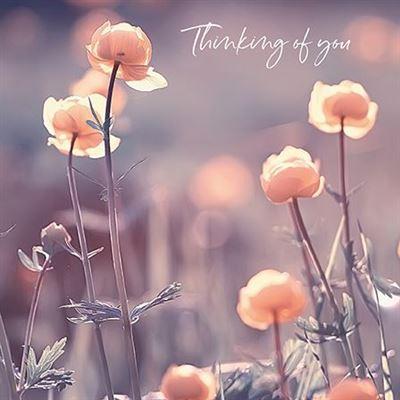 Thinking of You Card - Sunlit Flowers