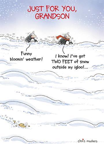 Grandson Birthday - Two Feet Of Snow