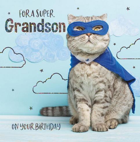 Grandson Birthday - Superhero Cat
