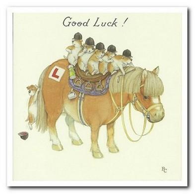 Good Luck Card - Driving Test Meercats On Horse