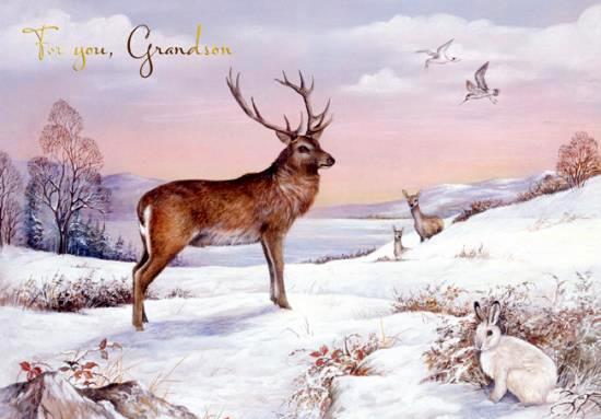 Christmas Card - Grandson - Stag & Winter Hare