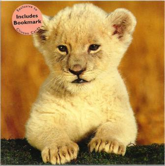 Blank Card - Lion Cub