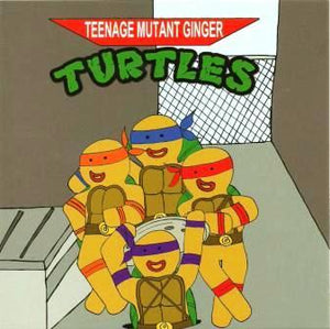 Humour Card - Teenage Mutant Ginger Turtles