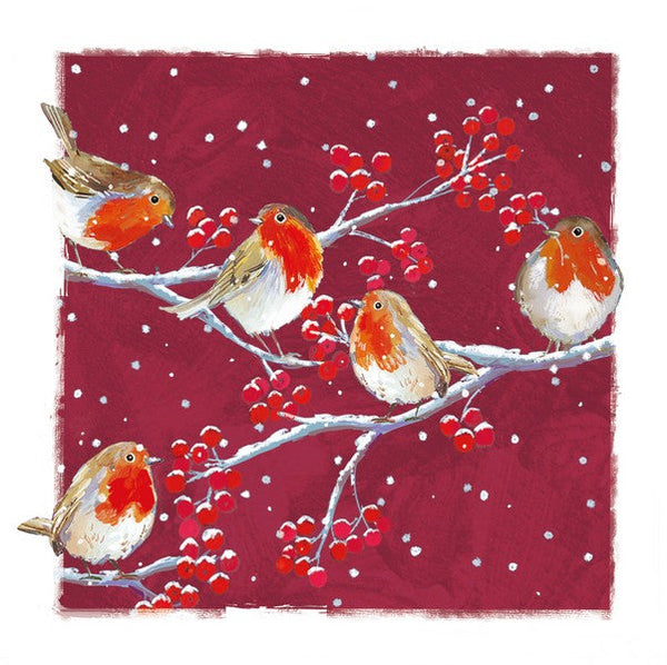 Charity Christmas Cards - 6 Cards - Robins