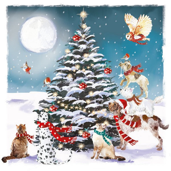 Charity Christmas Cards - 6 Cards - Magical Night