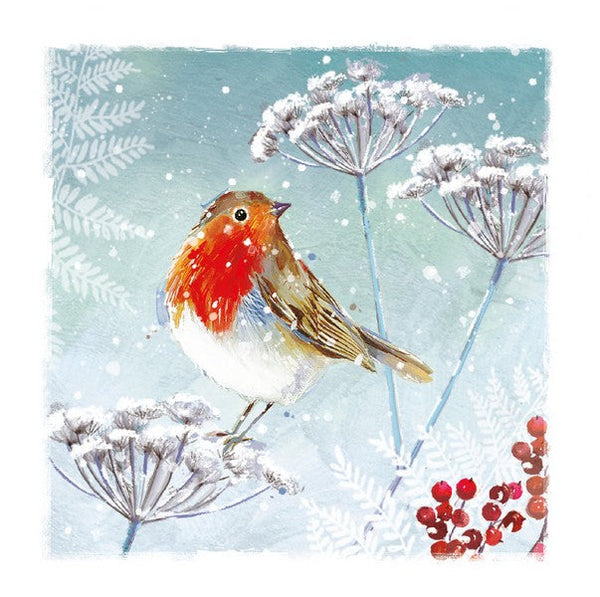 Charity Christmas Cards - 6 Cards - Winter Robin