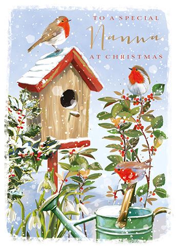 Christmas Card - Nanna - Robins And Bird Box