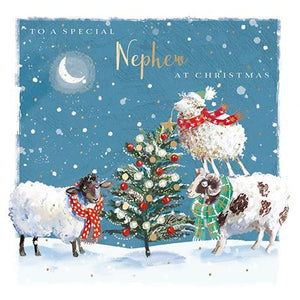 Christmas Card - Nephew - Winter Wishes