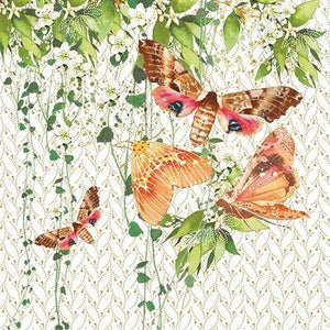 Blank Card - Moths On Flowers