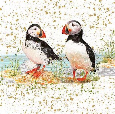 Blank Card - Bright Puffins