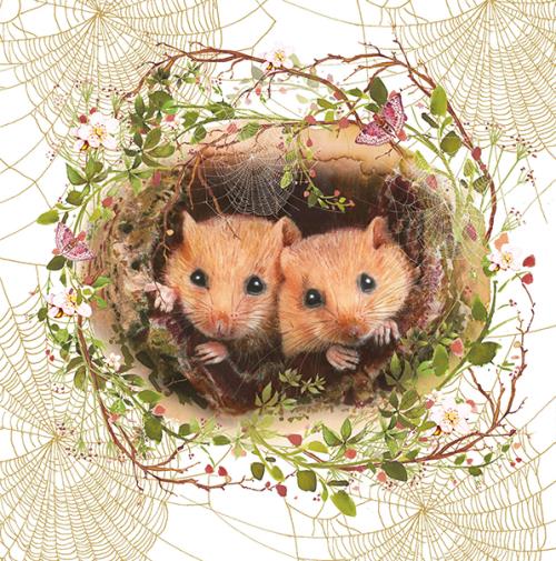 Birthday Card - Door Mouse Nest