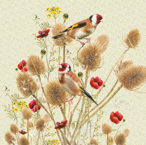Birthday Card - Goldfinches