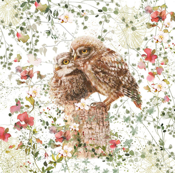 Birthday Card - Baby Owls
