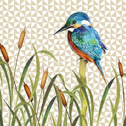 Birthday Card - Kingfisher/Reeds