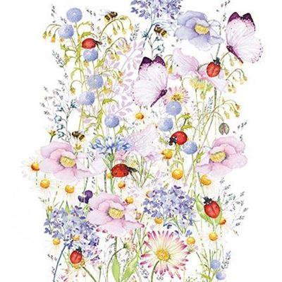 Blank Card - Ladybirds In Flowers