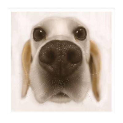 Birthday Card - Pastel Labrador