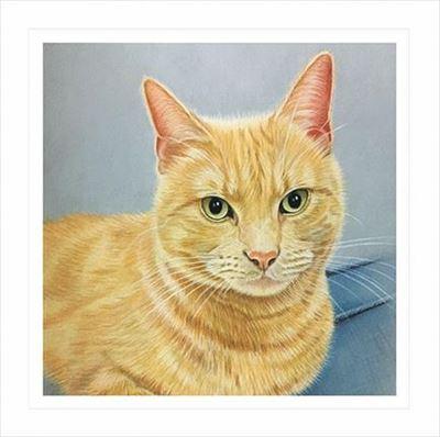 Birthday Card - Ginger Cat