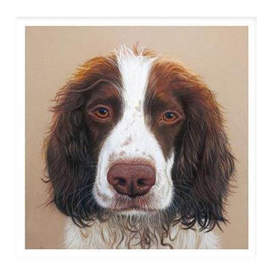 Birthday Card - Pastel Springer