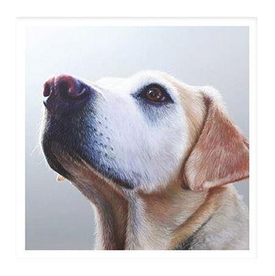 Birthday Card - Pastel Side Labrador