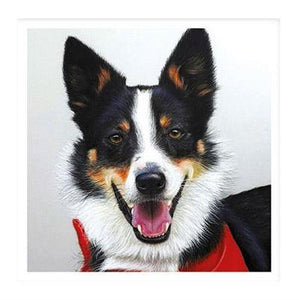 Birthday Card - Pastel Collie