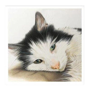 Birthday Card - Pencil Black & White Cat