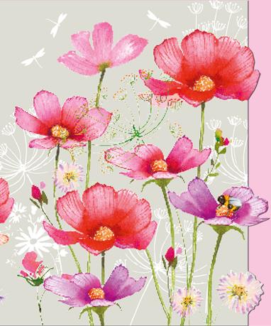 Birthday Card - Pink Cosmos from Nigel Quiney Publications, English Cards in France