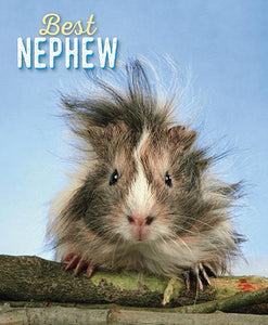 Nephew Birthday - Bad Hair Day