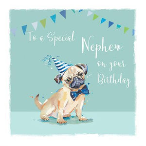 Nephew Birthday - Pugs And Kisses