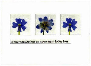New Baby Card - Baby Boy - Iris and Pansy