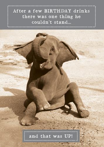 Humour Card - Elephant Couldn't Stand Up