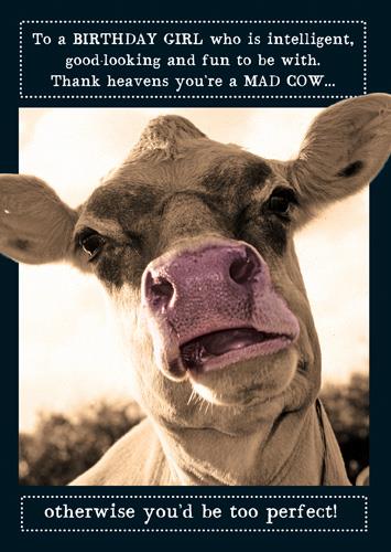 Humour Card - Cow