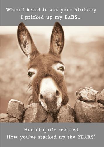 Humour Card - Donkey Pricked Up My Ears
