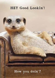 Humour Card - Meerkat Hey Good Lookin'