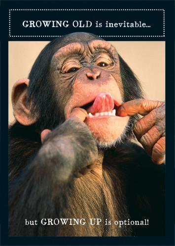 Humour Card - Monkey Growing Old Inevitable