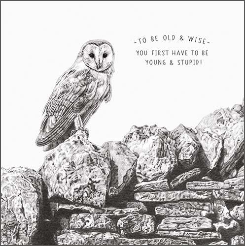 Birthday Card - Owl Old And Wise Pencil Drawing