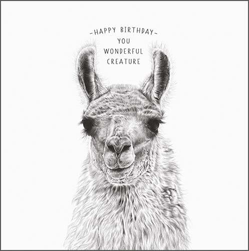 Birthday Card - Llama Wonderful Creature Pencil Drawing