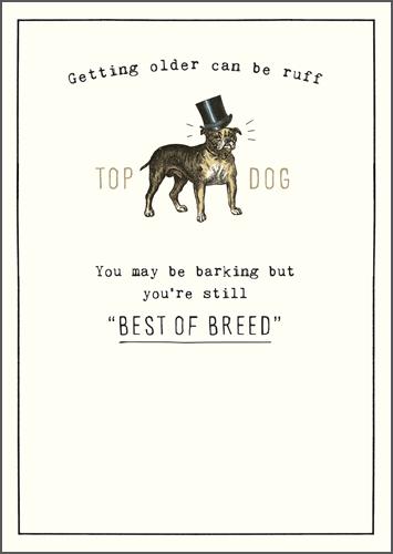 Humour Card - Top Dog Getting Older