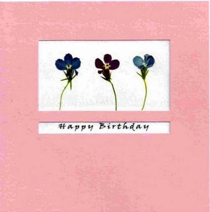 Birthday Card - Lobelia
