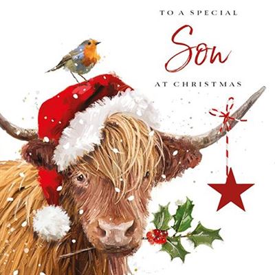 Christmas Card - Son - Festive Greetings