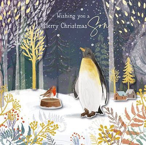 Christmas Card - Son - Penguin & Robin