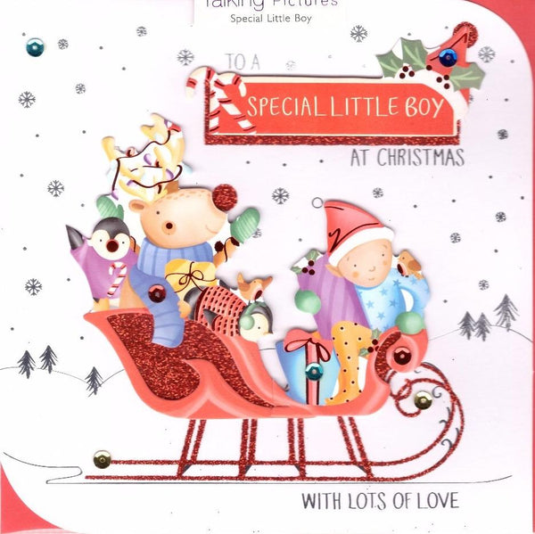Christmas Card - Special Boy - Sleigh Ride