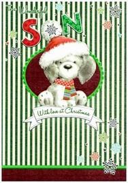 Christmas Card - Son - Dog In Santa Hat & Scarf