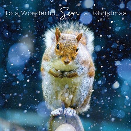Christmas Card - Son - Squirrel On Bench