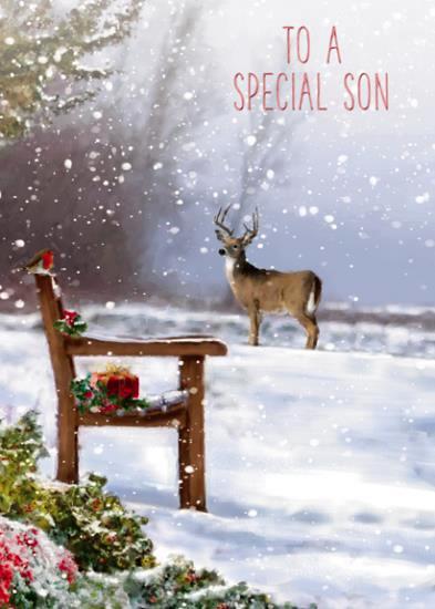 Christmas Card - Son - Deer In The Park