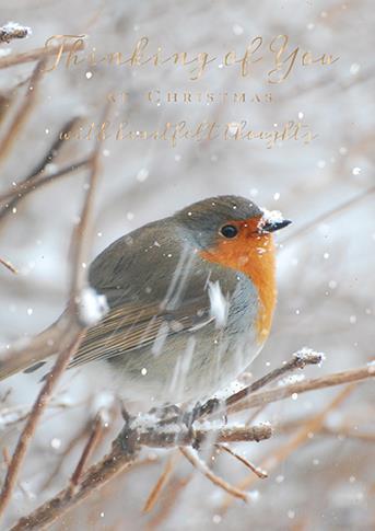 Christmas Card - Thinking Of You - Robin