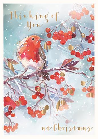Christmas Card - Thinking of you - Robin Amongst The Berries